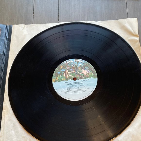 Charlie Daniels Band “Fire on the Mountain” vinyl LP - Picture 11 of 16